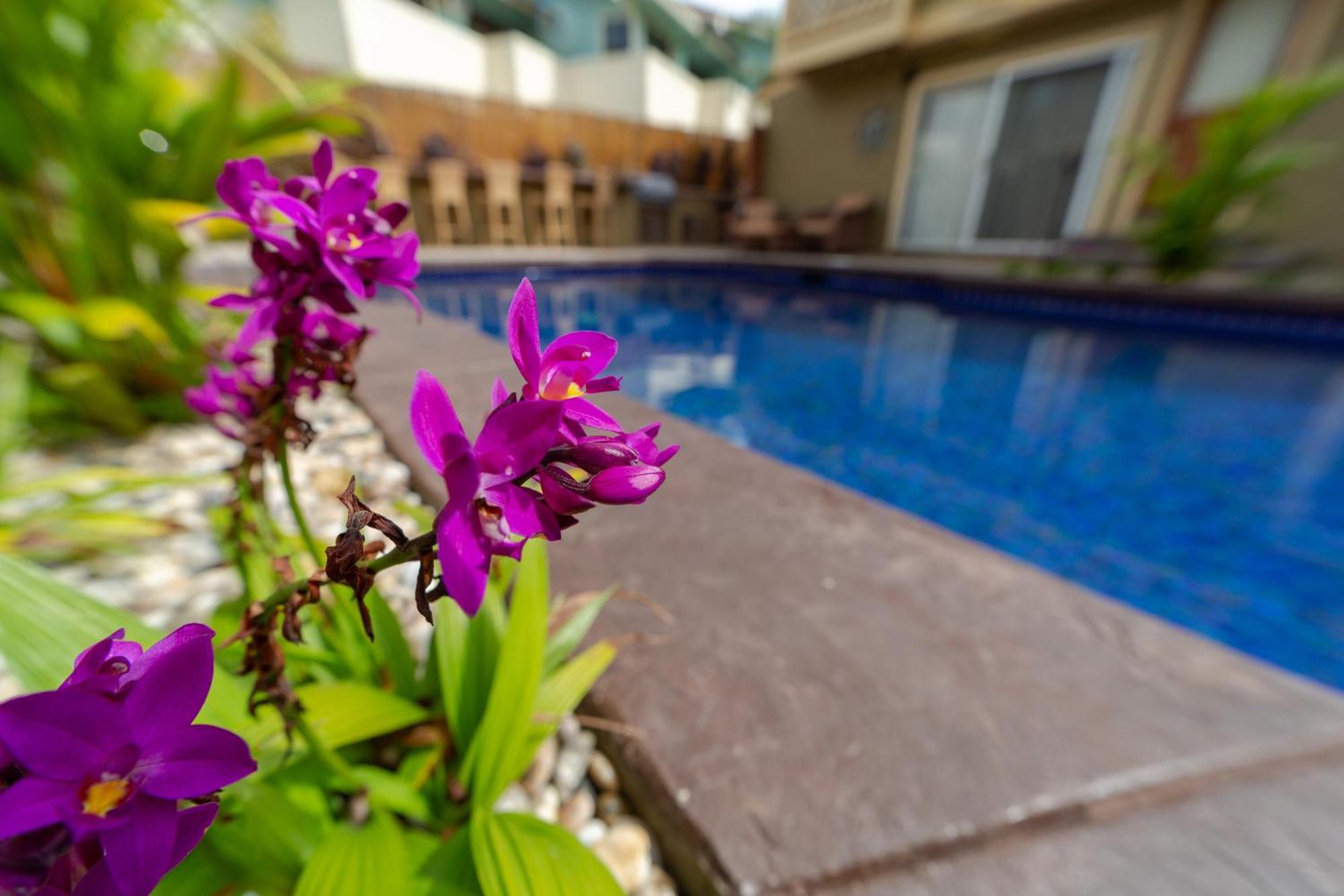 Plumeria Suite, 2-Bedrooms, Sleeps 6, Pool & Bbq, Pre-Renovation Summer Sale Kīhei Exterior foto