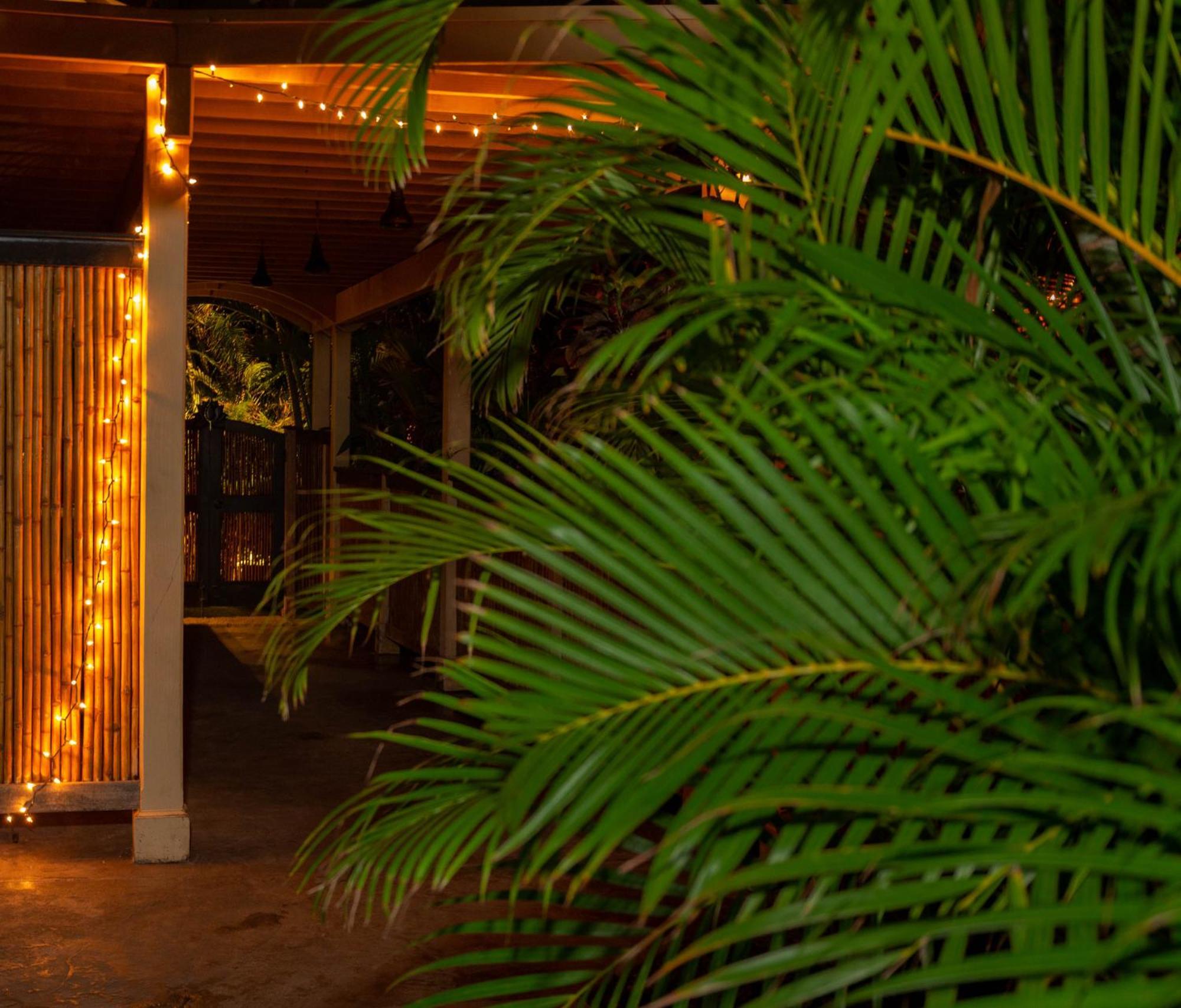Plumeria Suite, 2-Bedrooms, Sleeps 6, Pool & Bbq, Pre-Renovation Summer Sale Kīhei Exterior foto